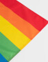 Eventos Varios Estampados Bandera "pride" - Combinacion Multicolor