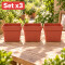 Set x3 Macetas chicas 7,5 lts TERRACOTA