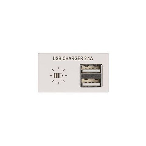 Módulo cargador p/2 USB 2,1A Duomo blanco C57928