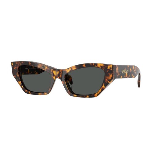 Versace Ve4488u 5514/87