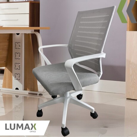 Silla Oficina Daena Ergonomica Giratoria Respaldo Completo Gris