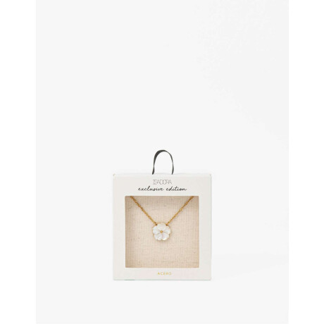 Cadena Acero Con Dije Nácar Dorado