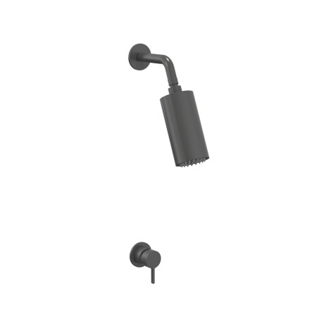 Griferia Ducha Spot Acero Gun Metal Incluye Brazo Y Volante 000