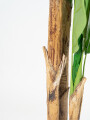Planta Banana Tree 180cm Color Unico