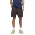 Bermuda Stance Carpenter FreshTek Marrón