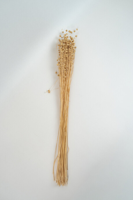 Deco Floral Amapola Color Unico