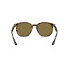 Ray Ban Rb4306 710/73