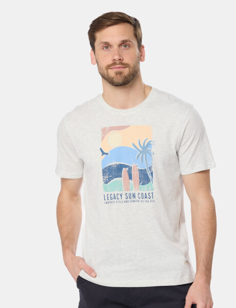REMERA ESTAMPADA Gris