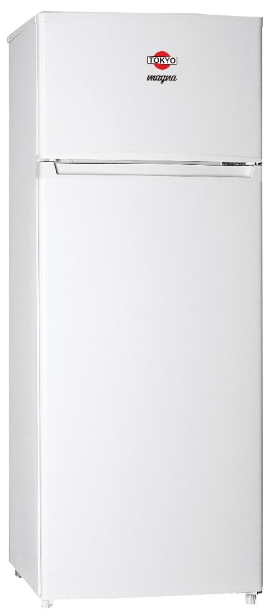 Heladera Tokyo 300 lts HETOKMAGNA Frio Humedo 2 Puertas 