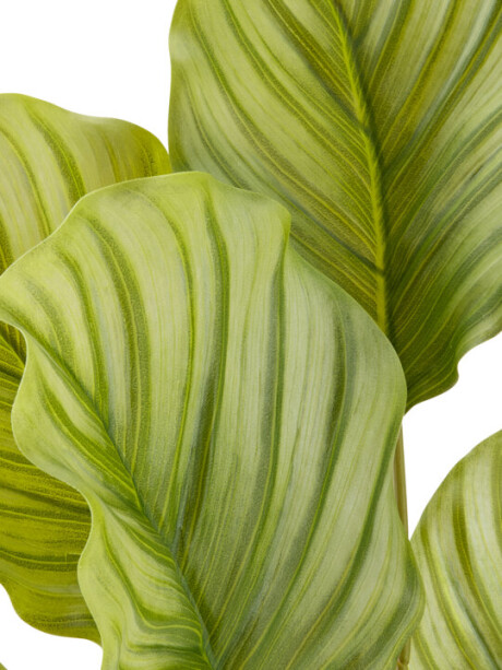 Planta artificial ROLF H55cm verde Planta artificial ROLF H55cm verde