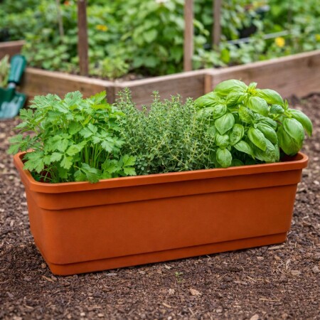 MACETA JARDINERA RECTANGULAR 8LTS 45X16X12CM TERRACOTA