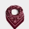Pañuelos Raso Boho Pañuelo Paisley Burgundy - Rojo Burdeaux