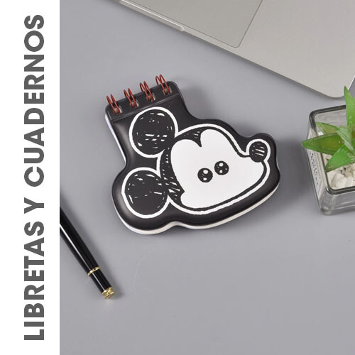 Libretas y cuadernos