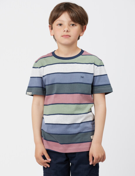 REMERA RAYADA Verde