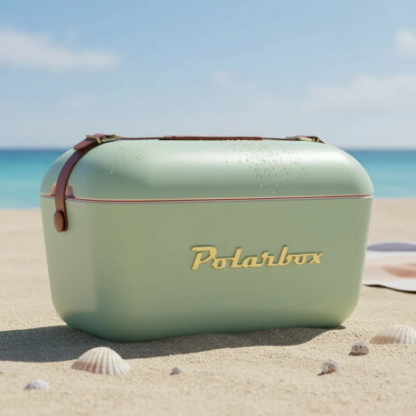 Conservadora Térmica Retro 20L Polarbox Playa Camping Viajes Olivagold