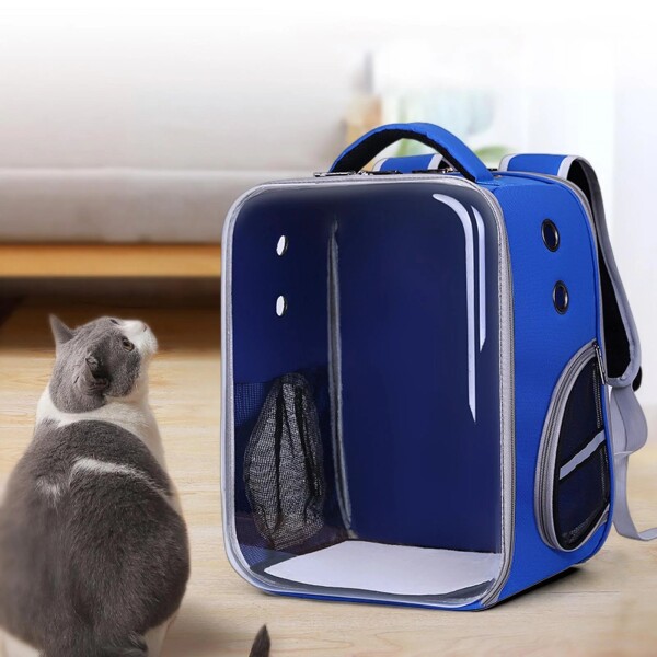 Mochila Transparente Rectangular Perro Gato Animal Premium Color Variante Azul