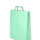 Bolsa lisa acuario 30x12x41 cm PASTEL AQUA