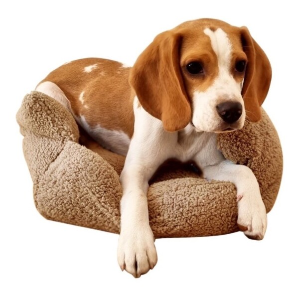 Cama Cucha Colchon Puff Antiestress Mascota Comoda Color Variante Beige