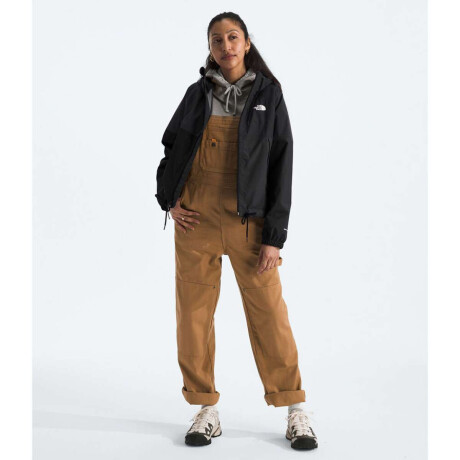 Campera impermeable antora hoodie mujer Tnf Black-npf