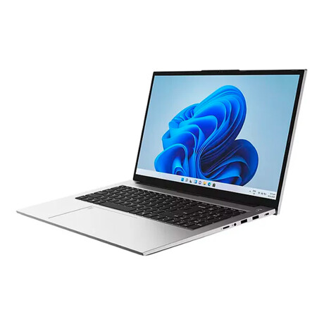 Notebook Gateway 17,3'' Ryzen 5 8GB 256GB WIN11 001