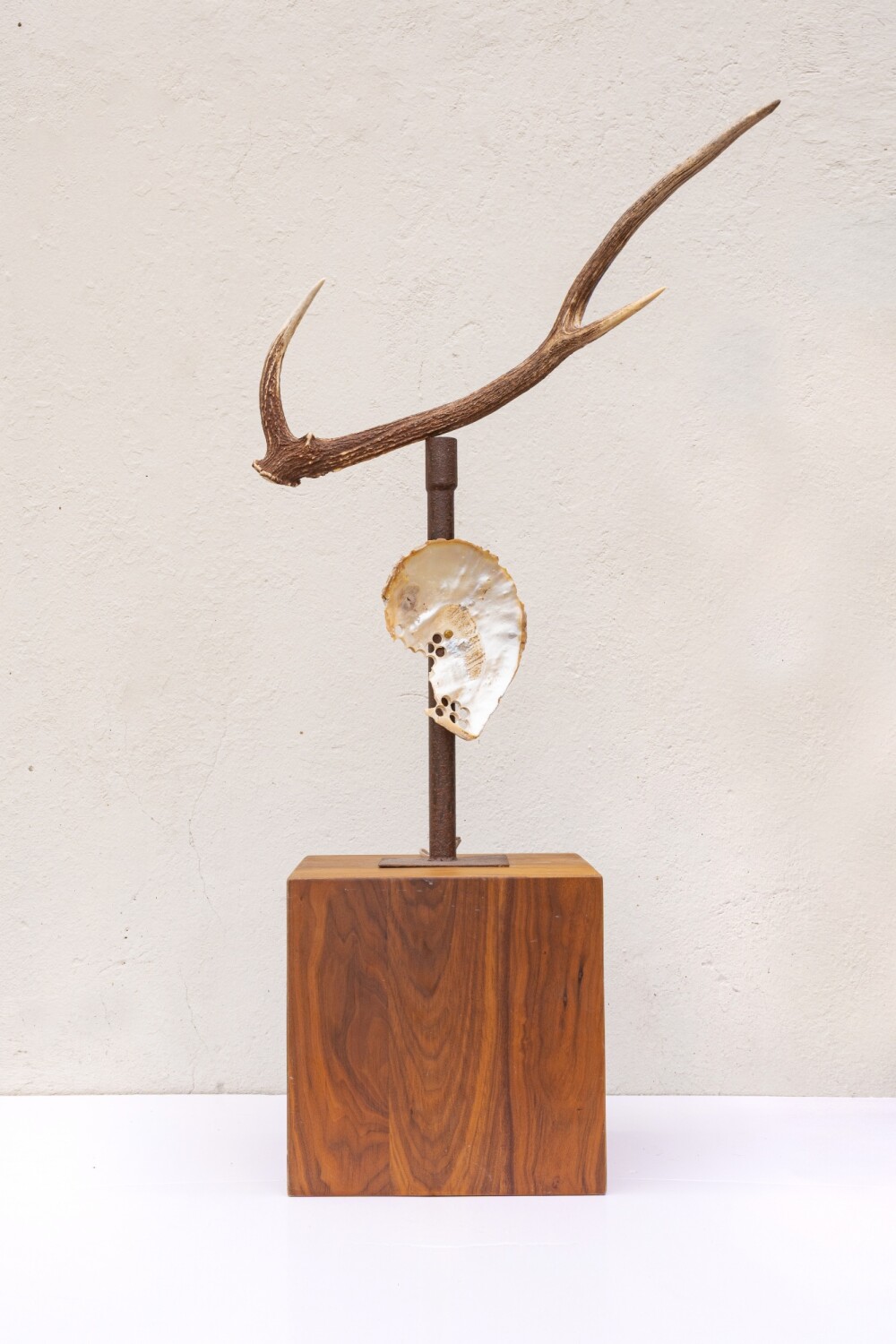 Nácar Lamp óxido