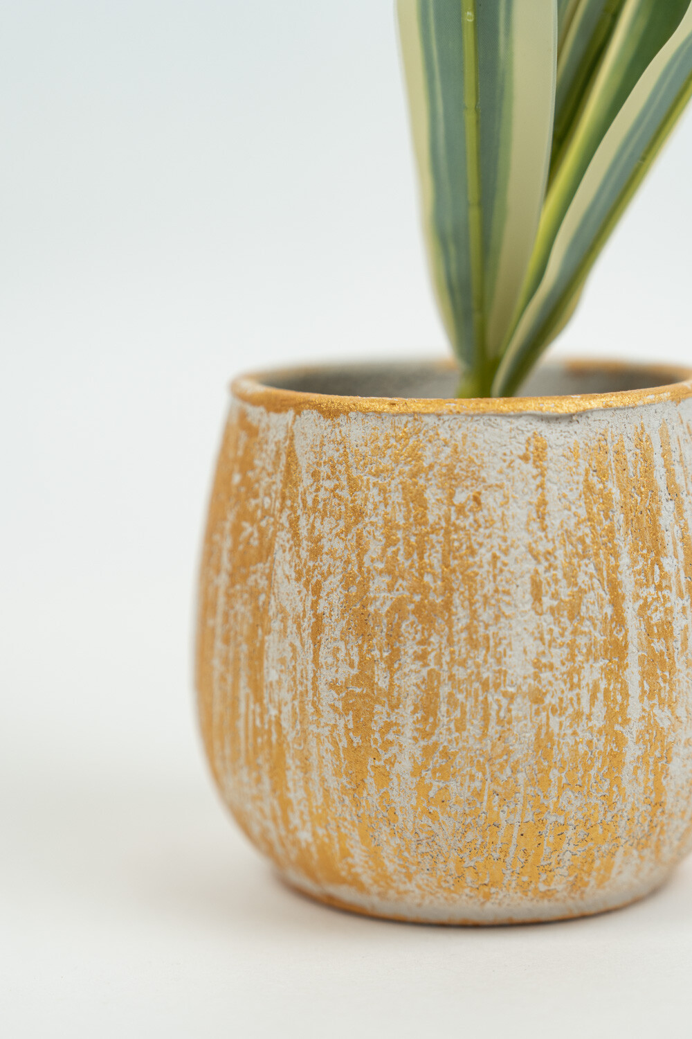 Planta Verdia Mix Color Unico