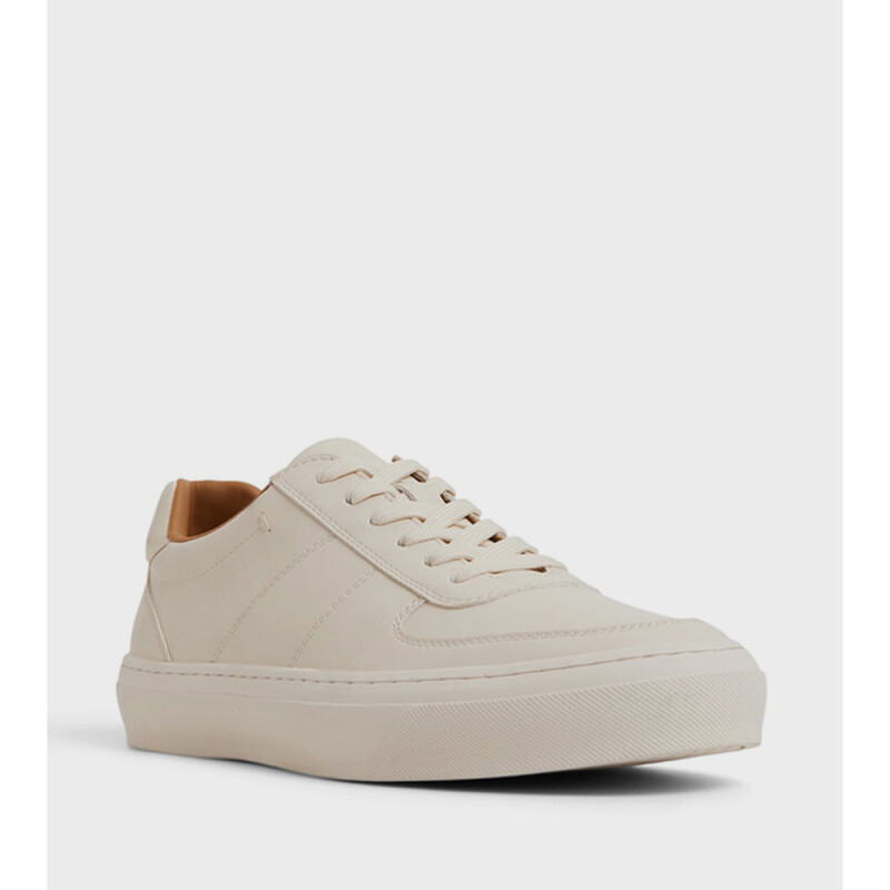 REGUS BONE SYNTHETIC BONE