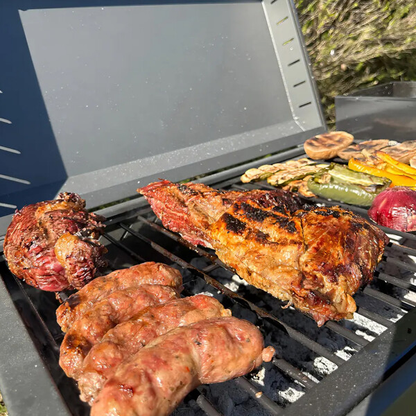 Parrilla A Leña Tromen Chulenguito Móvil 32342 PARRILLA TROMEN CHULENGUITO 32342