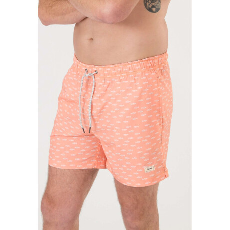 Short 4way stretch Coral reef
