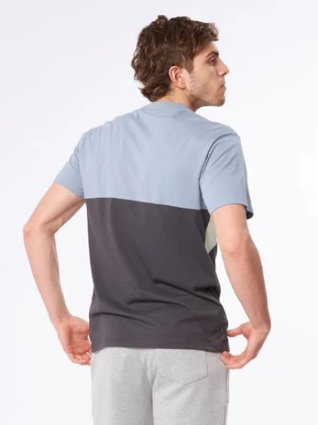 T-SHIRT RUSTY BATO PIED GRIS