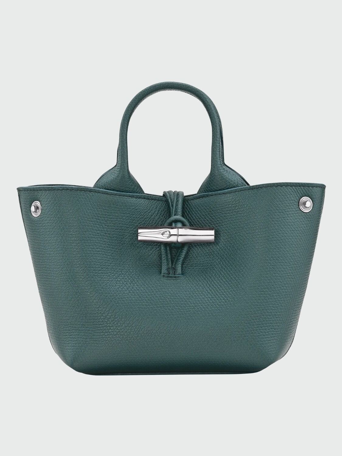 LONGCHAMP - Le Roseau XS Aguamarina