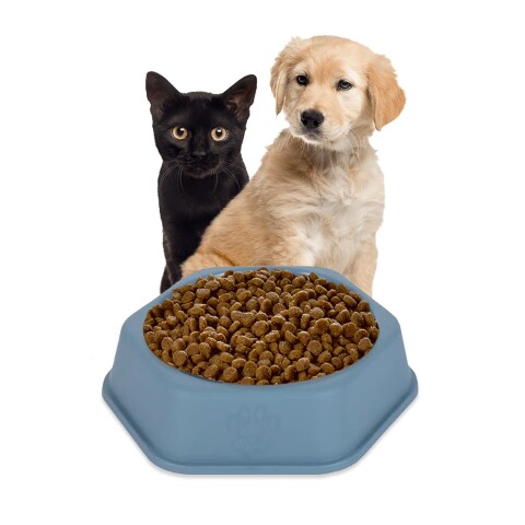 Plato Hexagonal Mascota Cachorros Comida Agua Plástico Variante Color Azul Oscuro