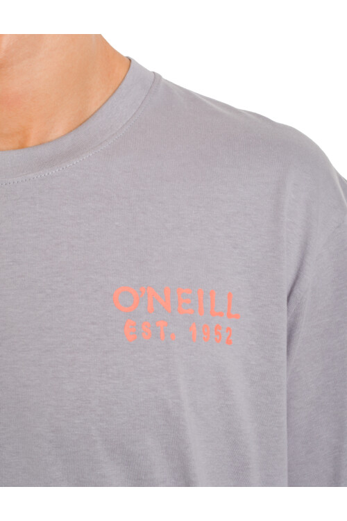 Remera O'Neill Oceanside Gris