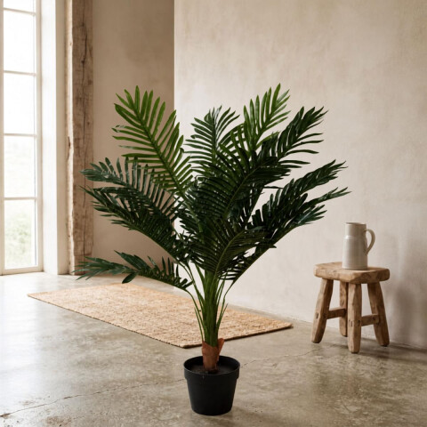 Planta Cycas 1.2 Mtros Planta Cycas 1.2 Mtros