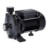 BOMBA CENTRIFUGA 115L/M BTA Bomba Centrifuga 115l/m Bta