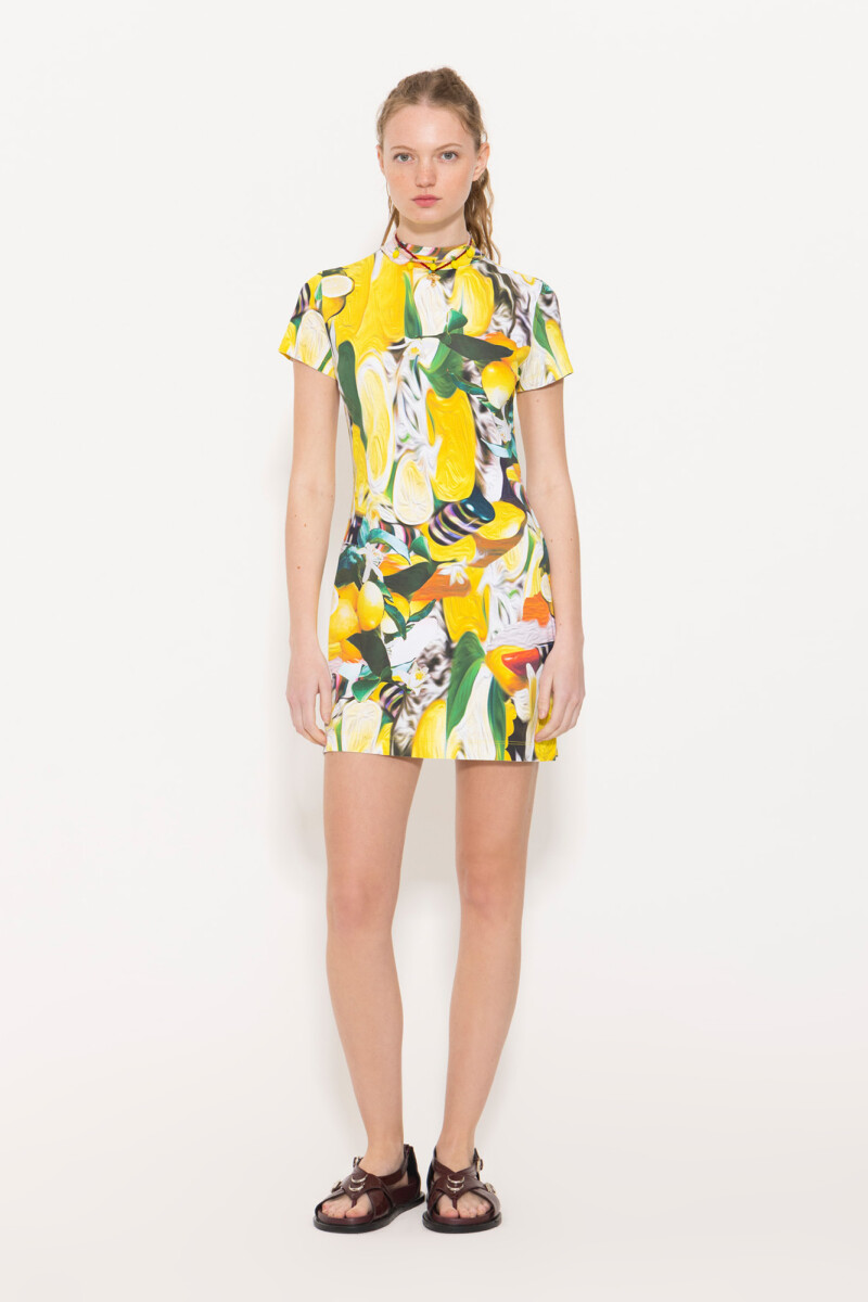 VESTIDO LEMON Multicolor