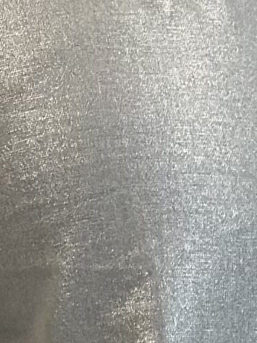PANTALON METALIZADO CARMELO - PLATEADO 