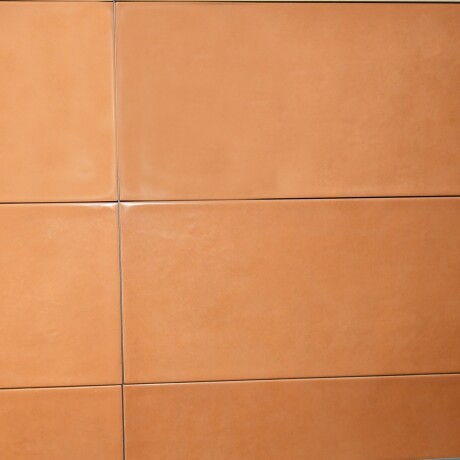 Ceramica Naranja 20X60Cm Pared GAMAS DE NARANJA