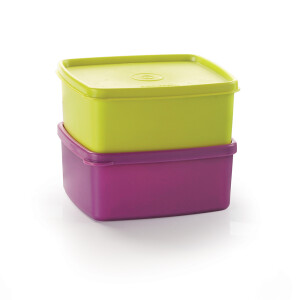 PRACTIFREEZE TUPPERWARE 500ML VERDE