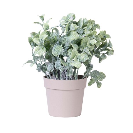 RAHO MENTHOL PLANTA-ARTIFICIAL VERDE GS-GS