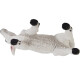 Ternero Pardo Suizo 161729 - Safari - Ternero Pardo Suizo 161729 - Safari -