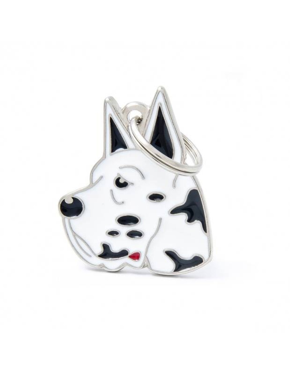 MF01ARLE - GRAN DANÉS ARLEQUÍN 