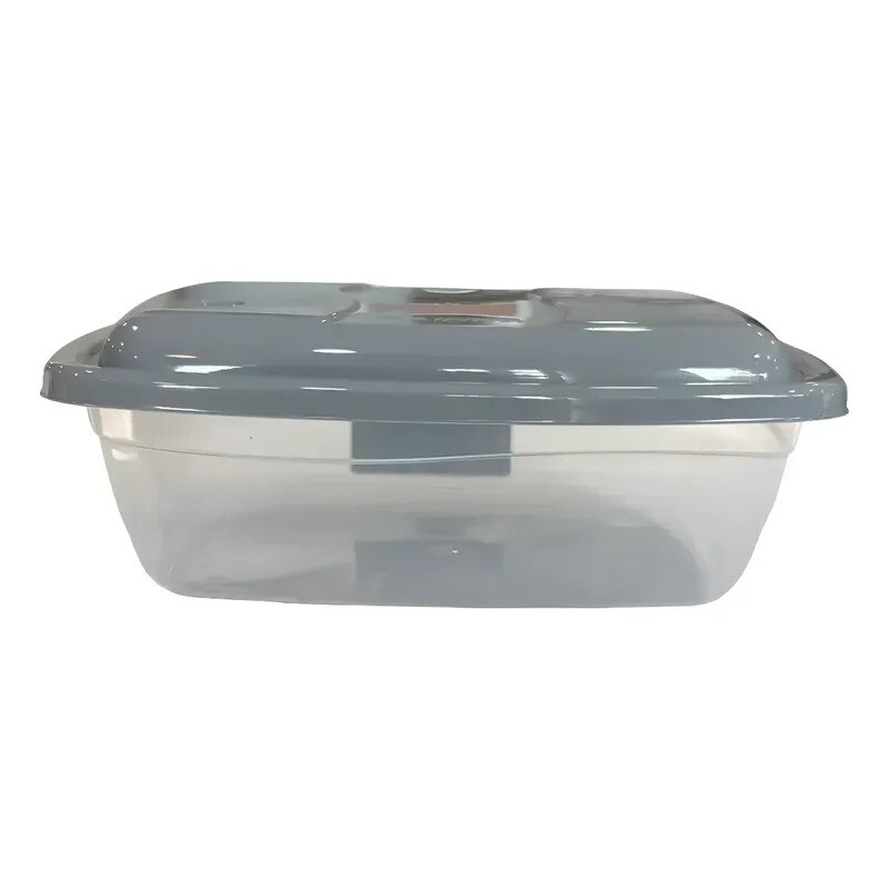 Tupper Rectangular Mediano De Plástico - Ra901 - Rainha Tupper Rectangular Mediano De Plástico - Ra901 - Rainha