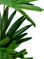 Planta Palmera China 120cm Color Unico