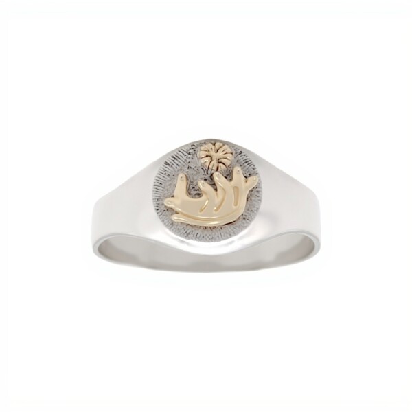 Anillo Profesión Partera-Plata y Oro-Sin Piedra-AP5003 sinpiedra