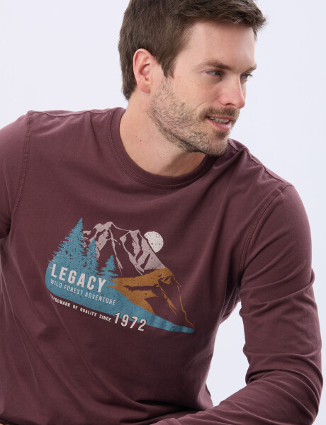 REMERA ESTAMPADA DE ALGODÓN BORDO