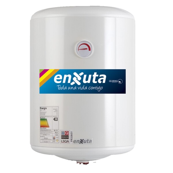 TERMOTANQUE DE ACERO 60 LITROS CLASE A Termotanque De Acero 60 Litros Clase A