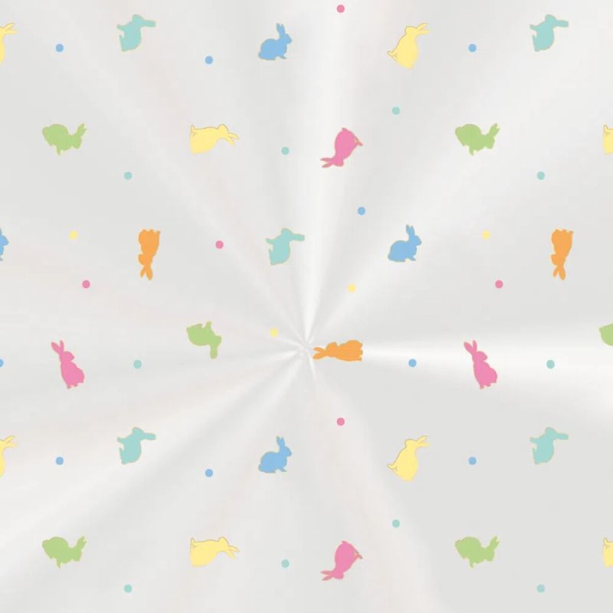 Bolsas de Celofán BLISS x50 - 10x14 cm 