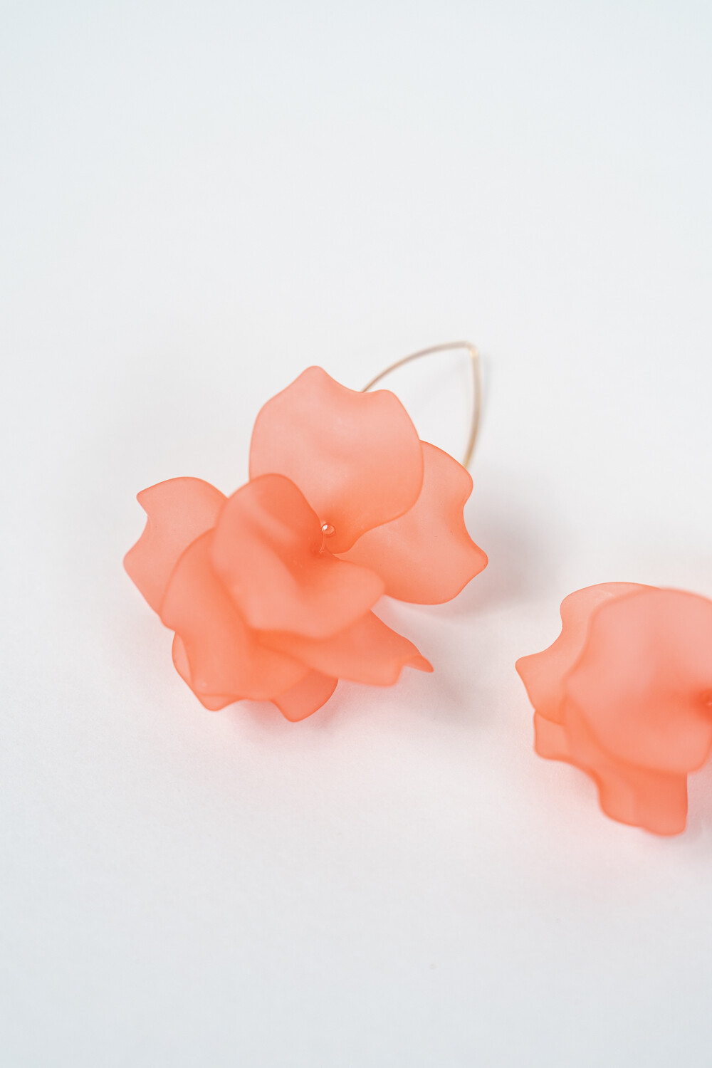 Caravana Liro Estampado 8