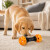 Juguete Morder Perros Gatos Limpieza Dental Golosinas Premio Color Negro Naranja